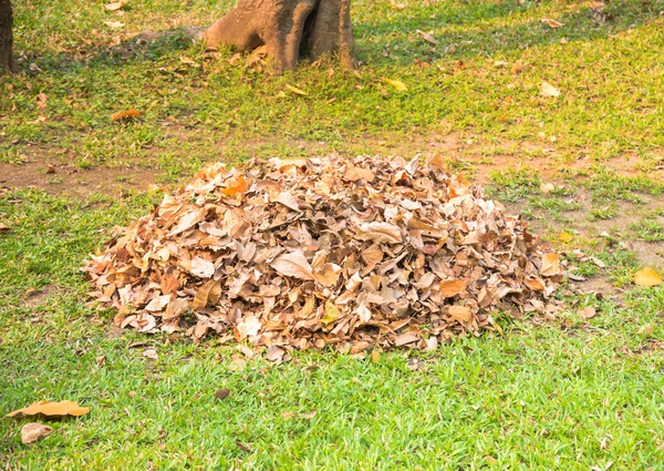 Pile of dry leaf was collect by gardener for make organic fertil — Stock Photo, Image