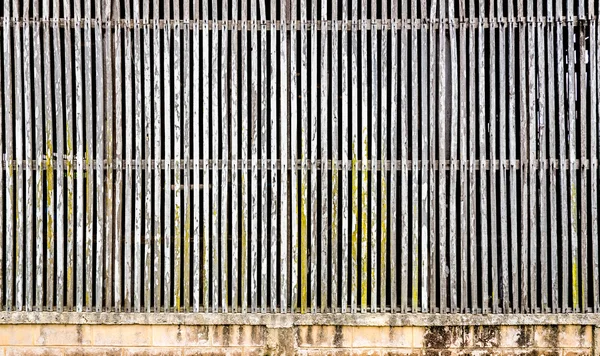 Textura de madera tira — Foto de Stock