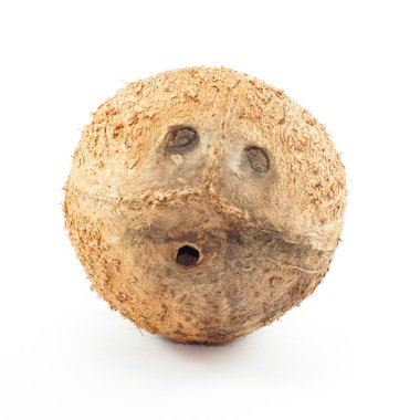 Beyaz arka plan ile izole Hindistan cevizi kabuğu