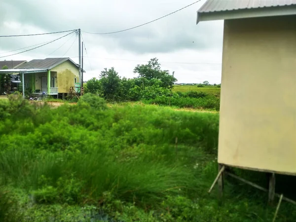 pirinç tarlaları manzaralı bir yerleşim yeri