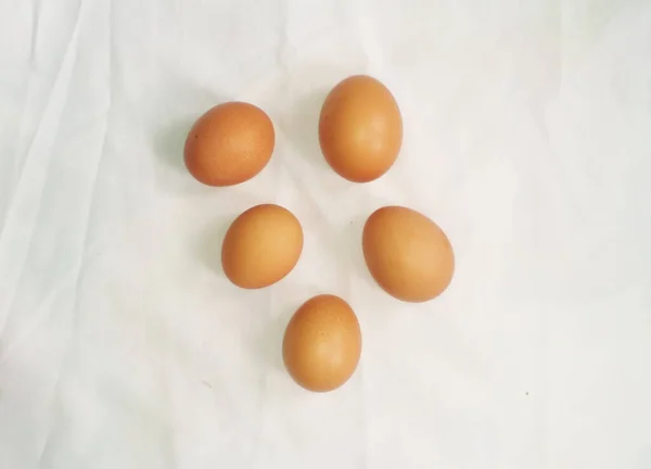 Beş yumurta güzelce gölgelendirilmişti.