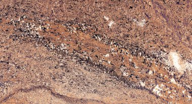 Tasarım sanatı için mermer dokusu soyut arkaplan