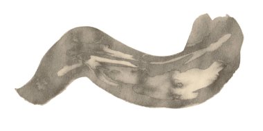 El çizimi suluboya yüksek çözünürlüklü doku beyaz tuval üzerinde izole