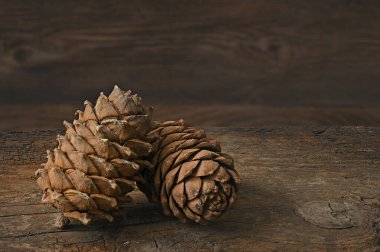 Sedir kozalakları eski bir tahta yan görünümde yatar.