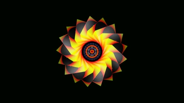 Éléments graphiques floraux colorés 