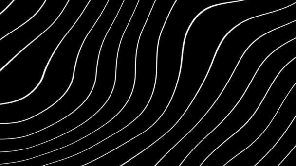 Moving white wavy lines — Stock Video