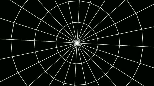 Maille d'araignée blanche tournante 