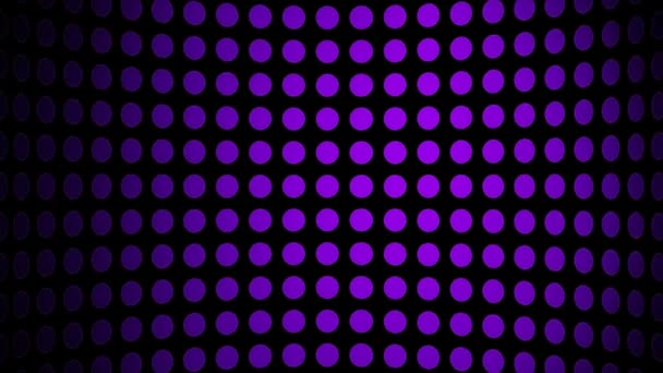 Pohyblivé fialové tečky — Stock video