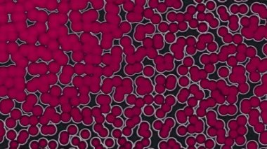 hücrelerin mikroskop altında