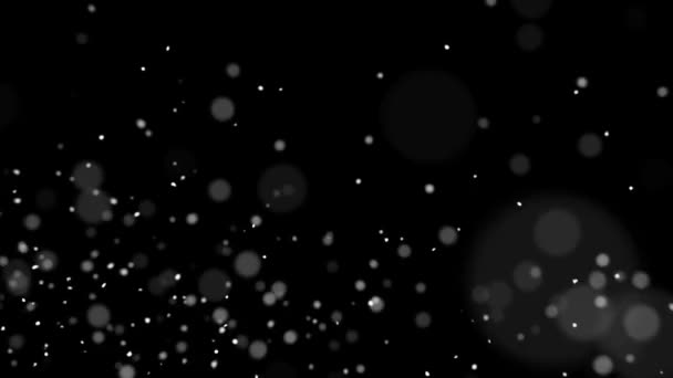 Fond noir à pois volants 