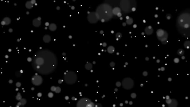 Fond noir à pois volants 