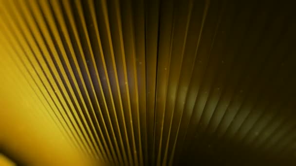 Déplacement des planches jaunes 