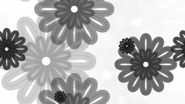 Grey floral pattern — Stock Video