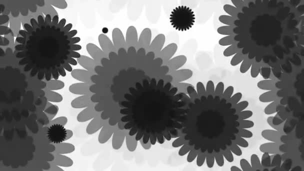Сірий квітковий візерунок — стокове відео