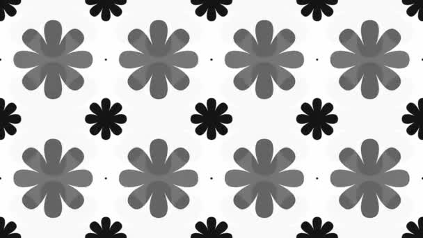Szary wzór kwiatowy — Wideo stockowe