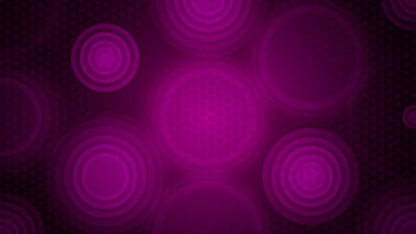 Circles Pattern Background — Stock Video