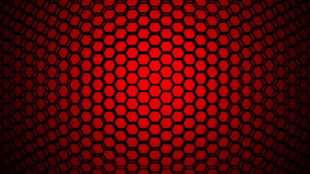 Hexagonal Pattern Background — Stock Video