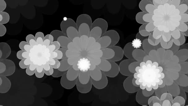 Grey floral pattern — Stock Video