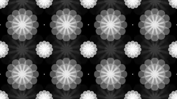 Motif floral gris — Video