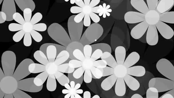 グレーの花柄のパターン — ストック動画