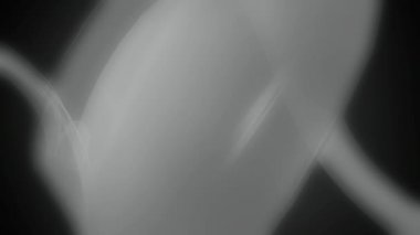 Hareketli eğri grubu