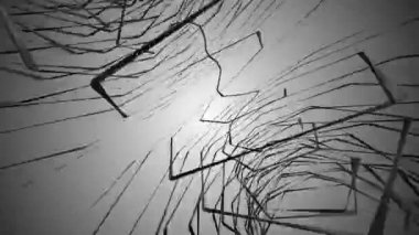 kalabalık gri çizgiler