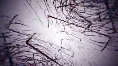 kalabalık renkli çizgiler