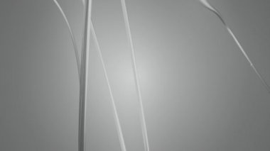 gri tonlamalı fiber satırları