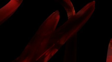 kırmızı parlak uzay