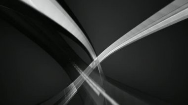 zor greyscale torus
