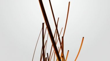 büyüme turuncu ipuçları