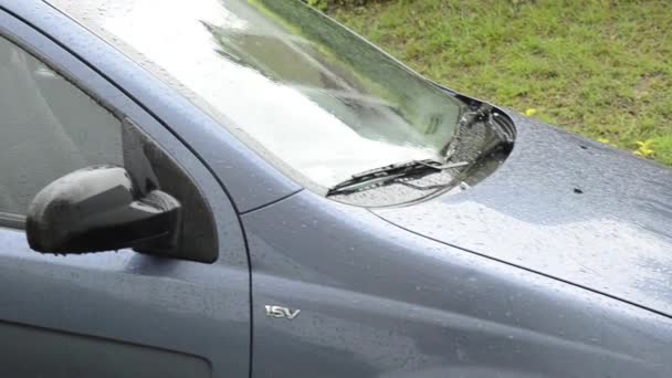 Chuva Caindo Telhado Carro Azul Estacionado — Vídeo de Stock