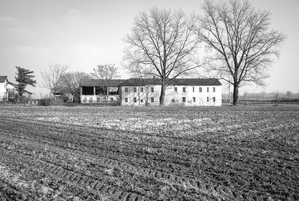 Ферма и поле, зима. Черно-белое фото — стоковое фото