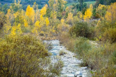 Aynı adı taşıyan (Piedmont, Kuzey İtalya), Piedmont ve Liguria bölgeleri arasındaki sınırın yakınlarındaki Borbera Deresi 'nin sonbahar manzarası. Renkli resim.
