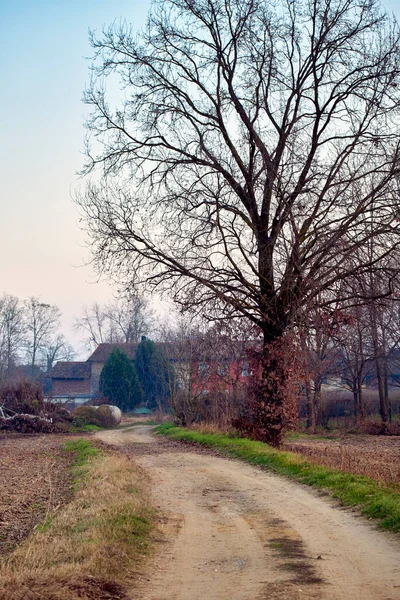 Panorama Invernal Campiña Lomellina Zona Rural Entre Lombardía Piamonte Norte — Foto de Stock