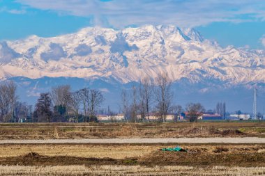 Lomellina kırsalındaki (Lombardy, Kuzey İtalya) çıplak çeltik tarlaları arasında bazı tarım arazileri: arka planda Rosa dağı yığını.