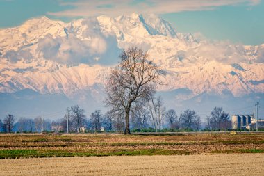 Lomellina 'nın (Lombardy, Kuzey İtalya) kırsal kesimindeki çıplak çeltik tarlaları arasında bazı çıplak ağaçlar vardır..