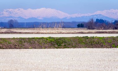 Lomellina kırsalındaki (Lombardy, Kuzey İtalya) çıplak çeltik tarlaları: arka planda Rosa dağ kitlesi; bu bölge pirinç tarlalarıyla ünlüdür..