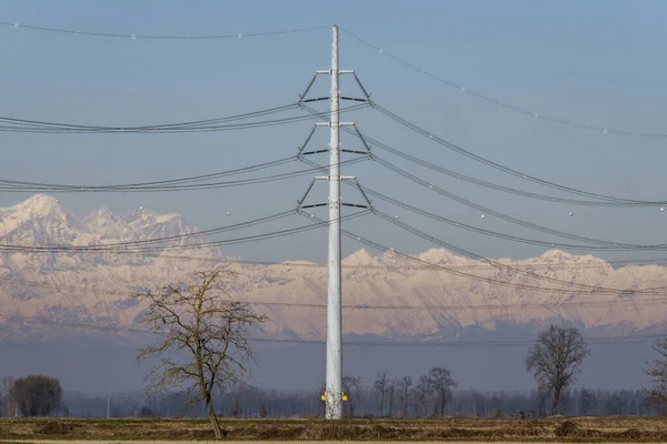 Lomellina Nın Lombardy Kuzey Talya Kırsal Kesimindeki Elektrik Hattını Destekleyen — Stok fotoğraf