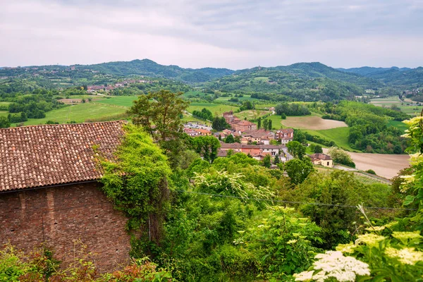 Monferrato Hills Panorama Covered Vineyards Hazelnut Trees Springtime Piedmont Northern — Stock Photo, Image