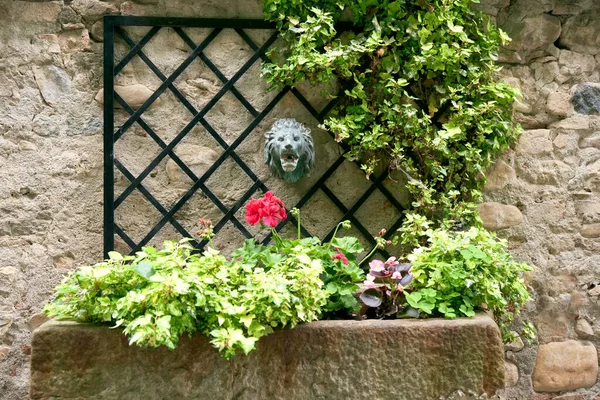 Vecchia Fontana Forma Testa Leone Decorata Con Fiori Antico Borgo — Foto Stock