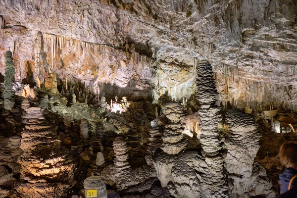 Das Innere Der Berühmten Karsthöhle Der Riese Einer Großen Touristenhöhle — Stockfoto