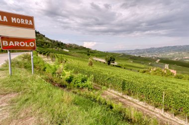 Langhe üzüm bağları (Piedmont, Kuzey İtalya), La Morra köyünün perspektifinden görülür. UNESCO sitesi, Barolo ve Barbaresco gibi değerli kırmızı şaraplarıyla dünyaca ünlüdür.).