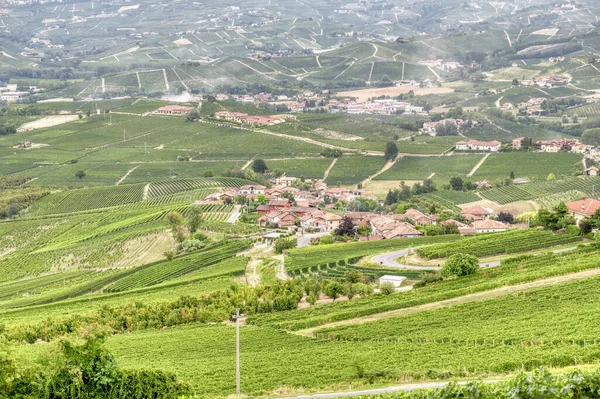 モーラ村の視点から見たランゲ ピエモンテ州 北イタリア のブドウ畑 2014年以来 ユネスコの世界遺産に登録されている貴重な赤ワイン バローロやバルバレスコなど — ストック写真