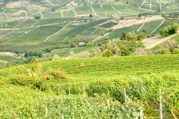 2014 년부터 유네스코 사이트 Langhe 이탈리아 지역의 — 스톡 사진