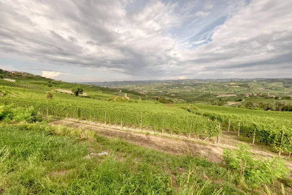 Los Viñedos Langhe Piamonte Norte Italia Vistos Desde Punto Vista —  Fotos de Stock