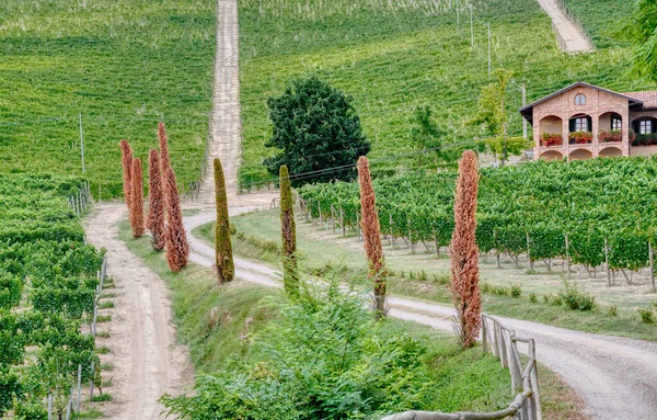 Typická Vinařská Farma Obklopená Vinicemi Kopcovité Oblasti Langhe Piemont Severní — Stock fotografie