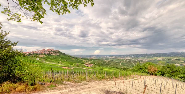 Vineyards Langhe Piedmont Northern Italy Seen Viewpoint Village Morra Unesco — Stock Photo, Image