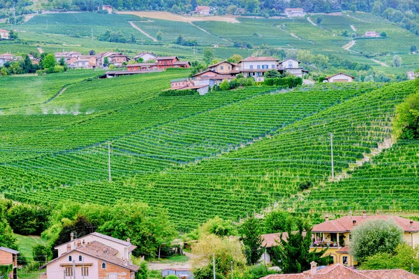 Typical Vinery Farm Hilly Region Langhe Piedmont Northern Italy Unesco — Stock Photo, Image