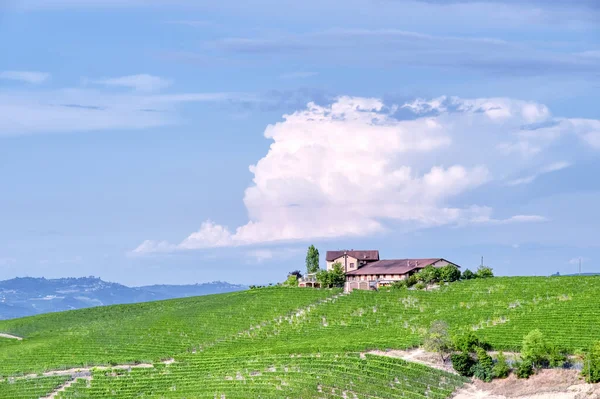 Ferme Viticole Typique Entourée Vignobles Dans Région Vallonnée Langhe Piémont Image En Vente